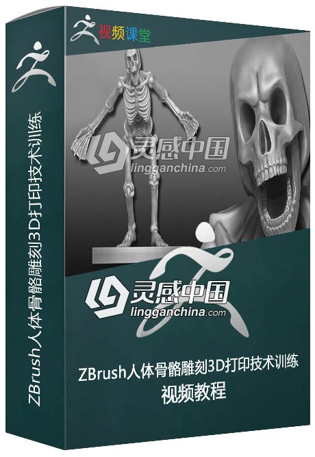 ZBrush人体骨骼雕刻3D打印技术训练视频教程  灵感中国网 www.lingganchina.com