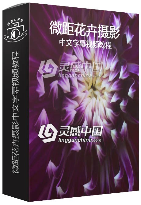 Kathleen Clemons -The Art of Flower Photography微距花卉摄影中文字幕视频教程  灵感中国网 www.lingganchina.com