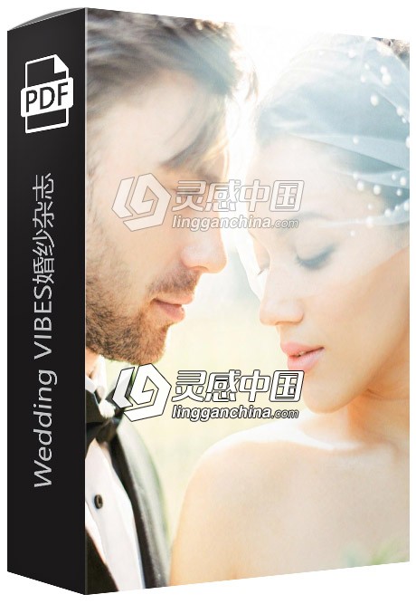 《Wedding VIBES》婚纱杂志（2017-2018）八本合集  灵感中国网 www.lingganchina.com