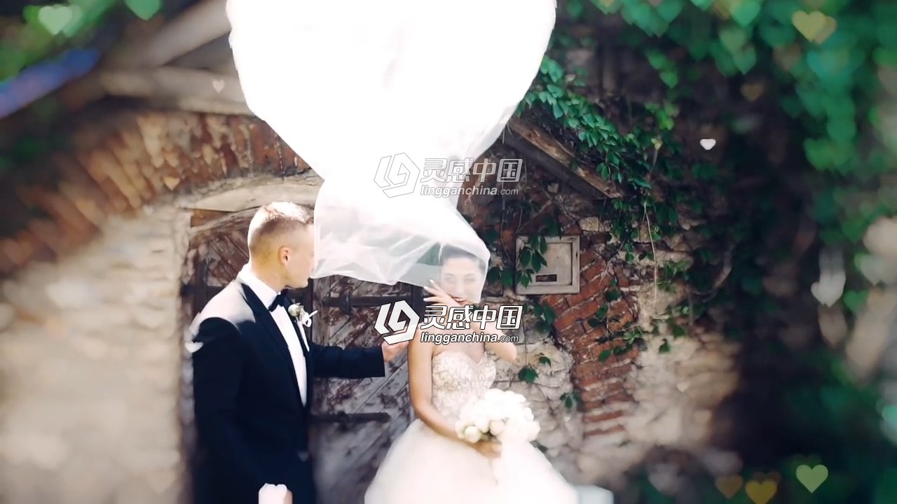 背景模糊虚焦AE插件 Crossphere Bokeh 1.3.3 Win/Mac破解版  灵感中国网 www.lingganchina.com