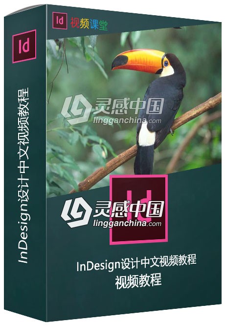 InDesign设计中文视频教程  灵感中国网 www.lingganchina.com
