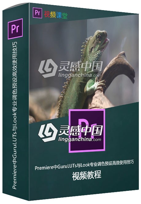 Premiere中GuruLUTs与Look专业调色预设高效使用技巧视频教程  灵感中国网 www.lingganchina.com