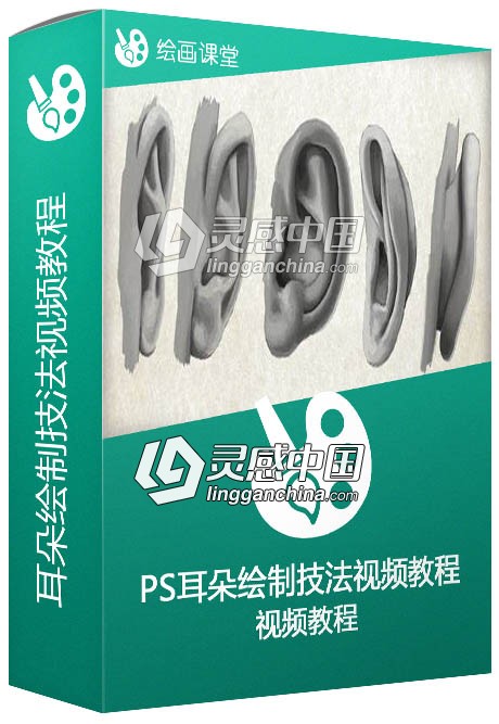 Photoshop耳朵绘制技法视频教程  灵感中国网 www.lingganchina.com