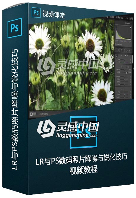 Lightroom与PS数码照片降噪与锐化技巧视频教程  灵感中国网 www.lingganchina.com
