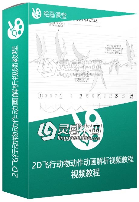 2D飞行动物动作动画解析视频教程  灵感中国网 www.lingganchina.com