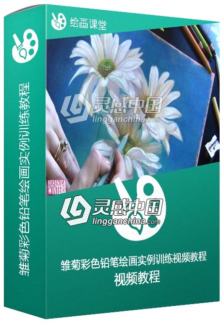 雏菊彩色铅笔绘画实例训练视频教程  灵感中国网 www.lingganchina.com