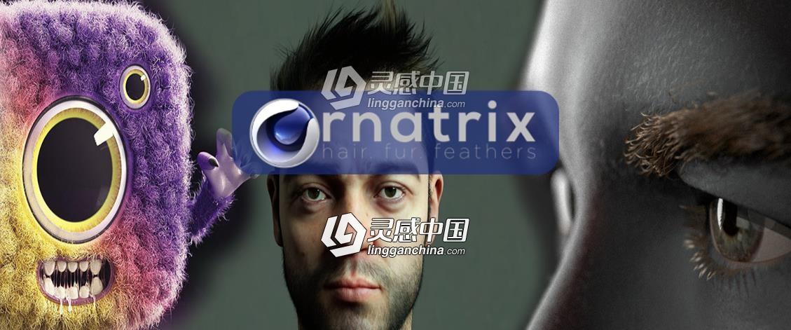 头发毛发羽毛模拟中文汉化版C4D插件Ornatrix v1.0.0.22027 for Cinema 4D Win破解版  灵感中国网 www.lingganchina.com