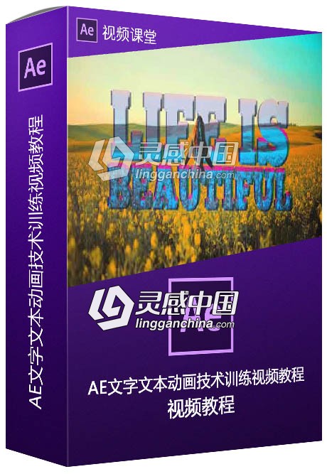 AE文字文本动画技术训练视频教程  灵感中国网 www.lingganchina.com
