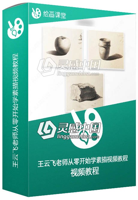 王云飞老师从零开始学素描视频教程  灵感中国网 www.lingganchina.com