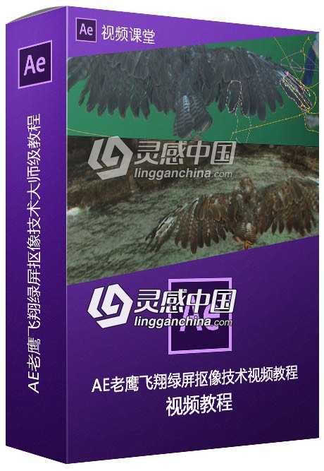 AE老鹰飞翔绿屏抠像技术大师级训练视频教程  灵感中国网 www.lingganchina.com