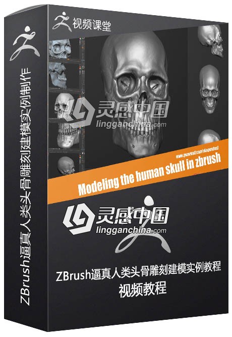 ZBrush逼真人类头骨雕刻建模实例制作视频教程  灵感中国网 www.lingganchina.com