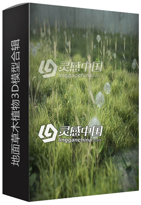 地面草木植物3D模型合辑 ExorbitArt Real Ground  灵感中国网 www.lingganchina.com
