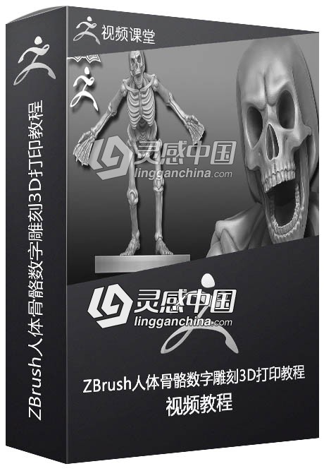 ZBrush人体骨骼数字雕刻3D打印技术视频教程  灵感中国网 www.lingganchina.com