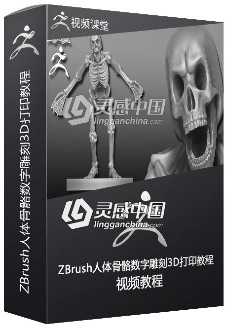 ZBrush人体骨骼数字雕刻3D打印技术视频教程  灵感中国社区 www.lingganchina.com