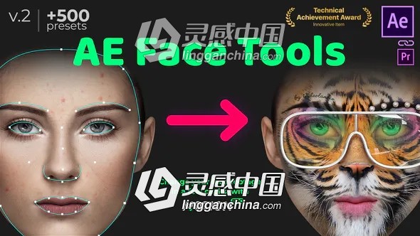 人脸面部追踪贴图表情化妆美颜丑化换脸锁定变形特效预设工具AE脚本 AE Face Tools V2  灵感中国网 www.lingganchina.com