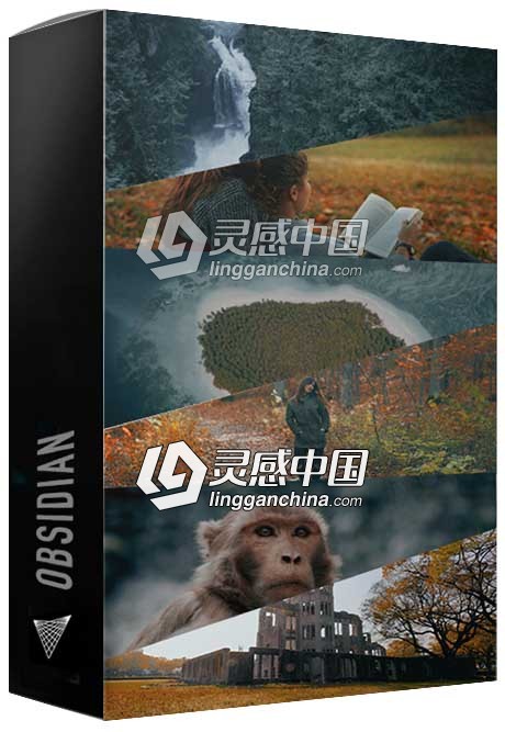 14组黑曜石人文自然电影胶片视频照片调色LUT预设 Visualsfirst – Obsidian LUTs  灵感中国网 www.lingganchina.com