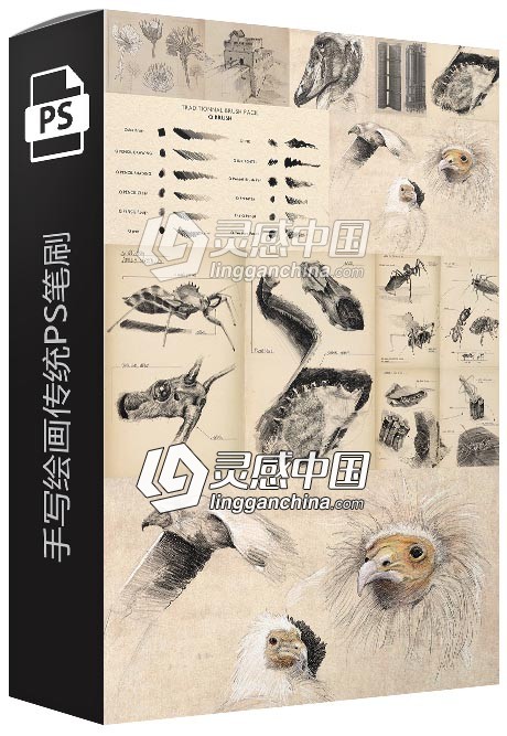 Photoshop手写绘画传统PS笔刷Traditional Brush by Quentin Gabriel  灵感中国网 www.lingganchina.com