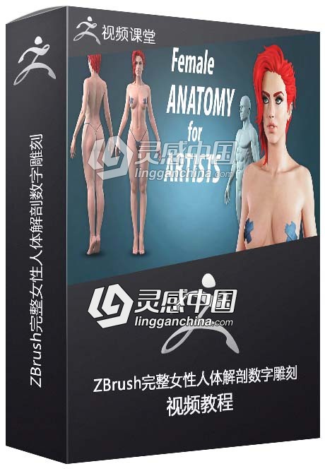 ZBrush完整女性人体解剖数字雕刻大师级视频教程  灵感中国网 www.lingganchina.com