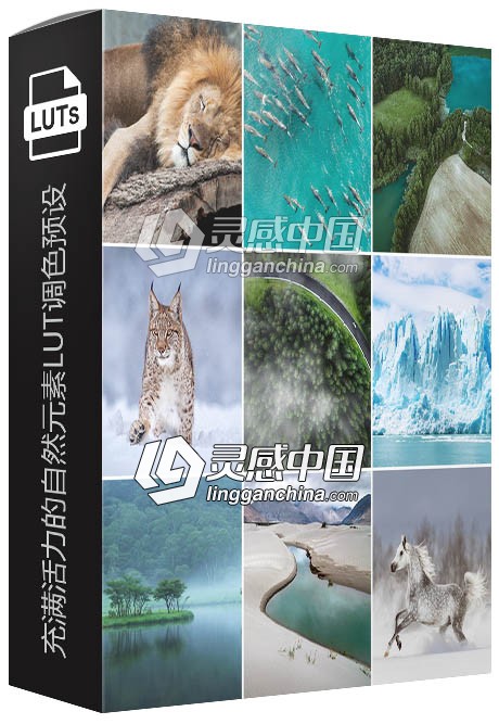 充满活力的自然元素LUT调色预设 Vibrant Nature LUTs for Photo &amp; Video  灵感中国网 www.lingganchina.com