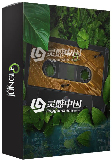 Audio Jungle超级音效配乐库精选影视片头AE模板音乐第78辑  灵感中国网 www.lingganchina.com