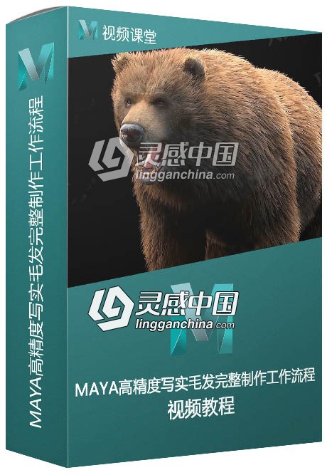 MAYA高精度写实毛发完整制作工作流程视频教程  灵感中国网 www.lingganchina.com