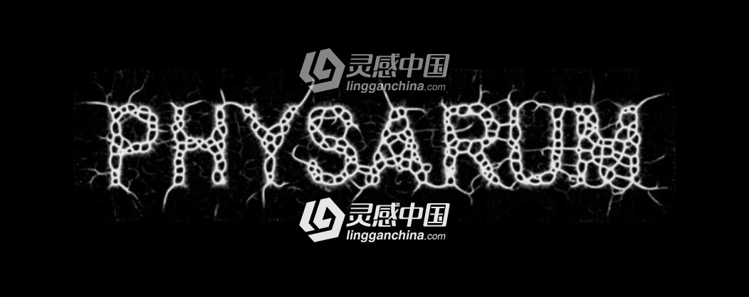 模拟有机生物绒泡菌霉变增长动画中文汉化AE插件 Physarum v1.0 Win中文汉化破解版  灵感中国网 www.lingganchina.com