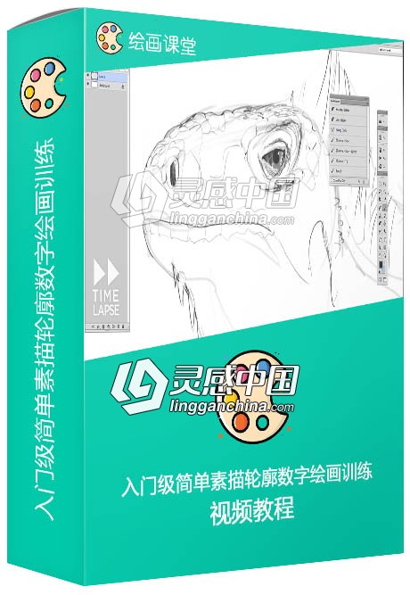 入门级简单素描轮廓数字绘画训练视频教程  灵感中国网 www.lingganchina.com