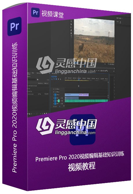 Premiere Pro 2020视频编辑基础知识训练视频教程  灵感中国社区 www.lingganchina.com