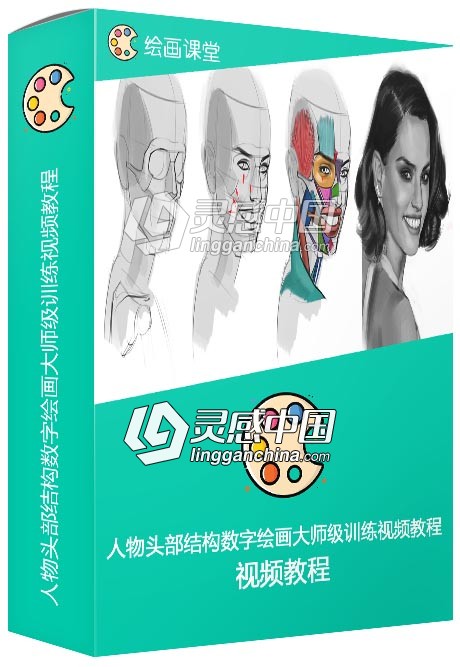 人物头部结构数字绘画大师级训练视频教程  灵感中国网 www.lingganchina.com