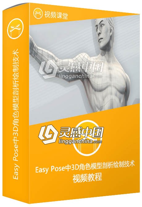 Easy Pose中3D角色模型剖析绘制技术训练视频教程  灵感中国网 www.lingganchina.com