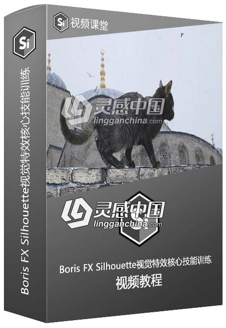 Boris FX Silhouette视觉特效核心技能训练视频教程  灵感中国网 www.lingganchina.com