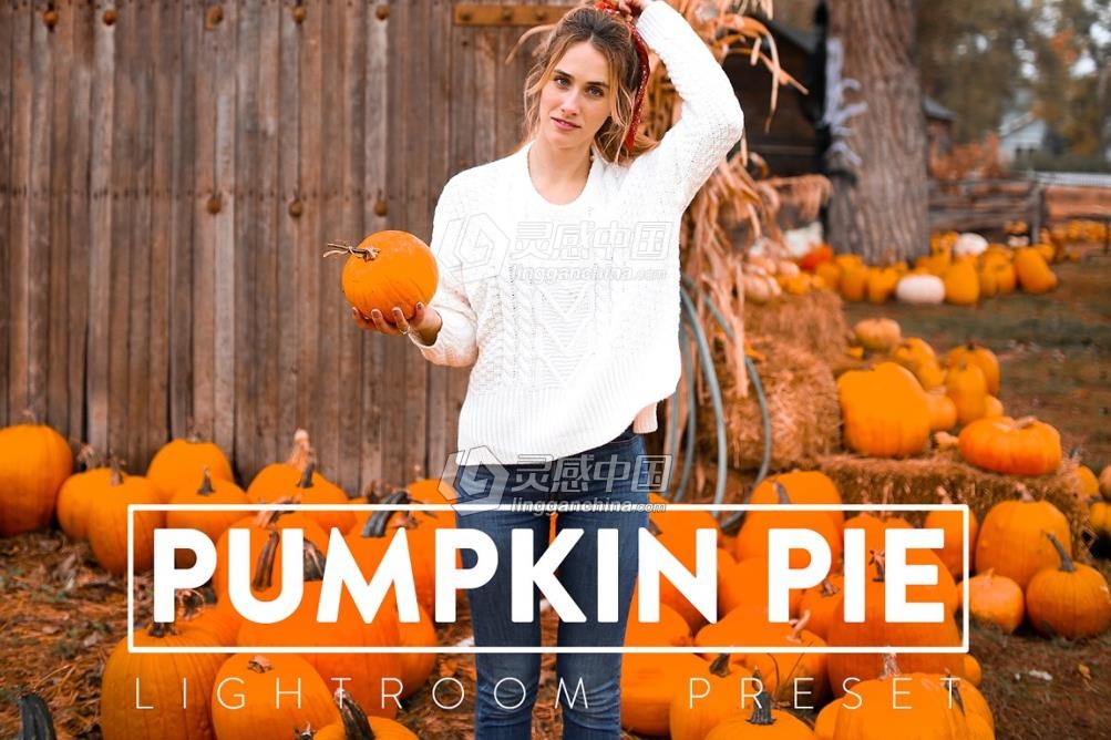 秋季南瓜节通透暖色调Lightroom预设 10 PUMPKIN PIE Lightroom Preset  灵感中国网 www.lingganchina.com