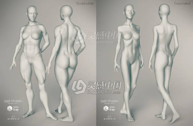 Genesis 3 Female女性身体头部面部等DAZ3D基础模型  灵感中国网 www.lingganchina.com