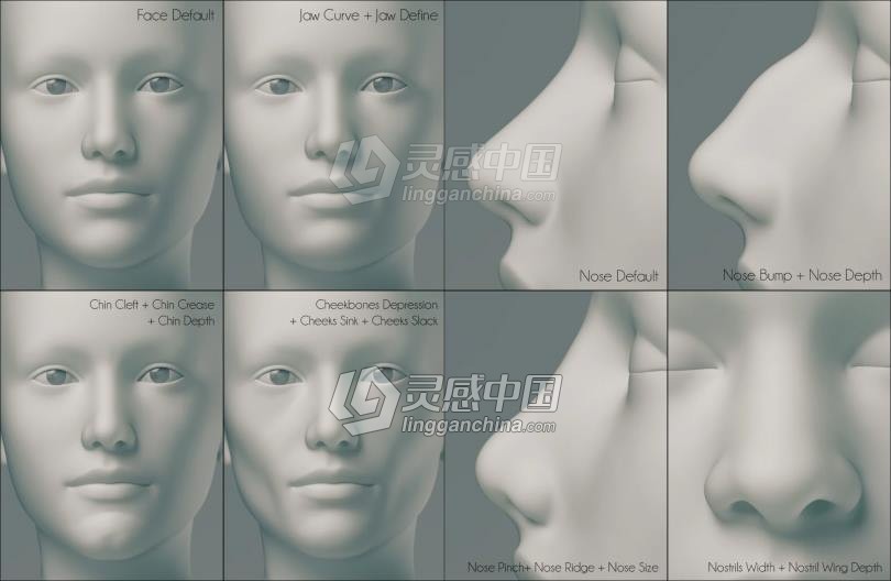 Genesis 3 Female女性身体头部面部等DAZ3D基础模型  灵感中国网 www.lingganchina.com