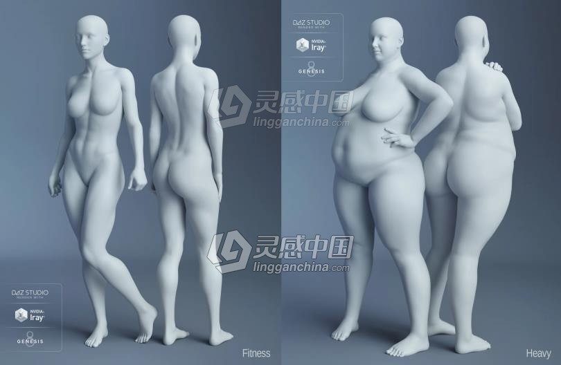 Genesis 8 Female女性男性身体头部面部等DAZ3D基础模型 Genesis 8 Female Morphs  灵感中国网 www.lingganchina.com