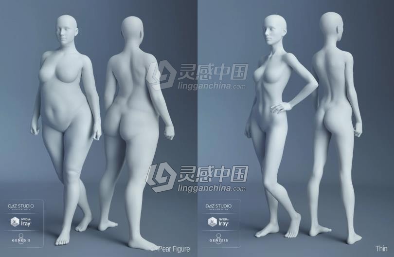 Genesis 8 Female女性男性身体头部面部等DAZ3D基础模型 Genesis 8 Female Morphs  灵感中国网 www.lingganchina.com