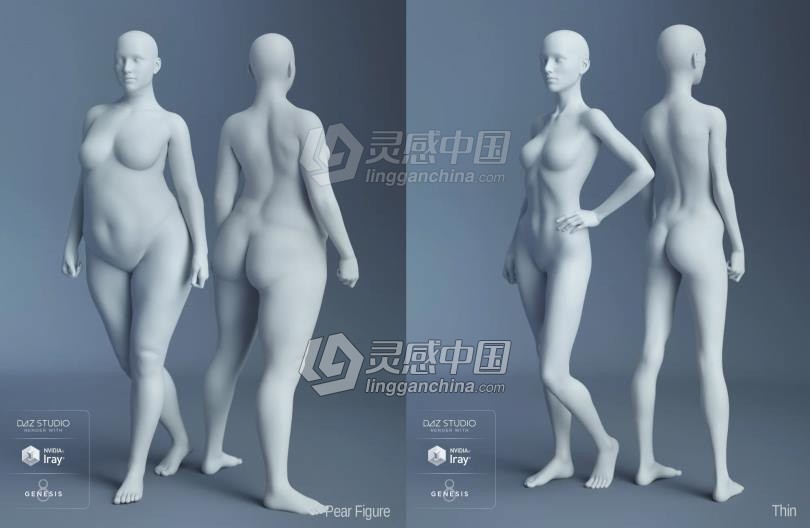 Genesis 8 Female女性男性身体头部面部等DAZ3D基础模型 Genesis 8 Female Morphs  灵感中国社区 www.lingganchina.com