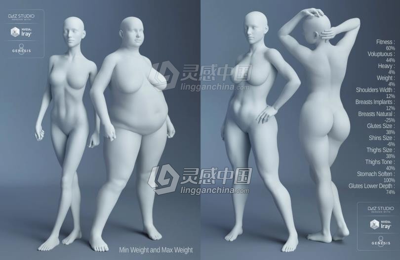 Genesis 8 Female女性男性身体头部面部等DAZ3D基础模型 Genesis 8 Female Morphs  灵感中国网 www.lingganchina.com
