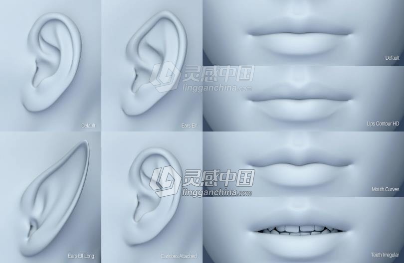 Genesis 8 Female女性男性身体头部面部等DAZ3D基础模型 Genesis 8 Female Morphs  灵感中国网 www.lingganchina.com