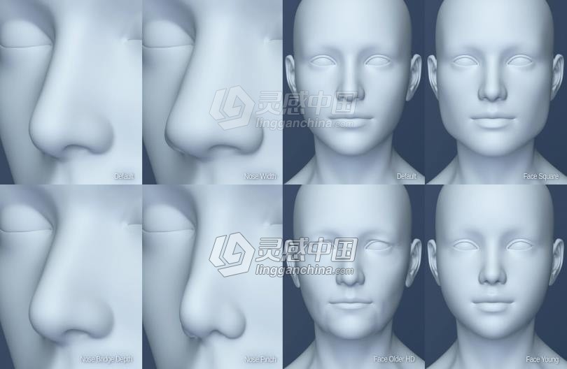 Genesis 8 Female女性男性身体头部面部等DAZ3D基础模型 Genesis 8 Female Morphs  灵感中国网 www.lingganchina.com