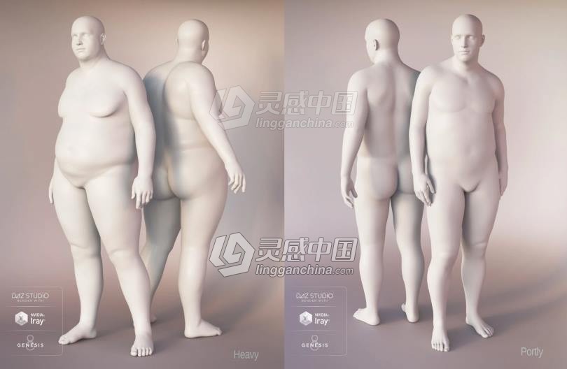 Genesis 8 Female女性男性身体头部面部等DAZ3D基础模型 Genesis 8 Female Morphs  灵感中国网 www.lingganchina.com