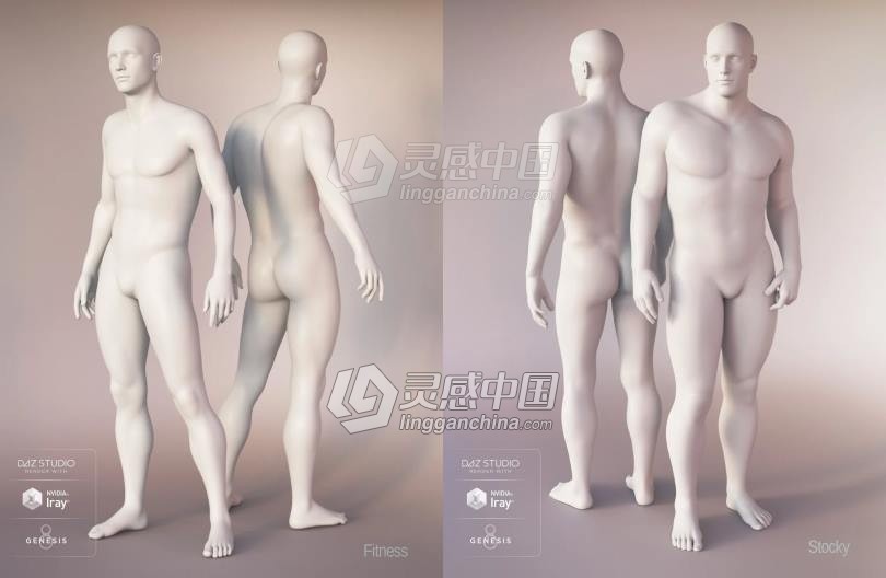 Genesis 8 Female女性男性身体头部面部等DAZ3D基础模型 Genesis 8 Female Morphs  灵感中国网 www.lingganchina.com