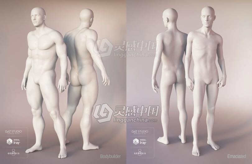 Genesis 8 Female女性男性身体头部面部等DAZ3D基础模型 Genesis 8 Female Morphs  灵感中国网 www.lingganchina.com
