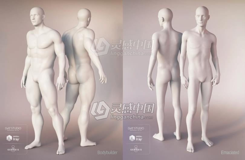 Genesis 8 Female女性男性身体头部面部等DAZ3D基础模型 Genesis 8 Female Morphs  灵感中国社区 www.lingganchina.com