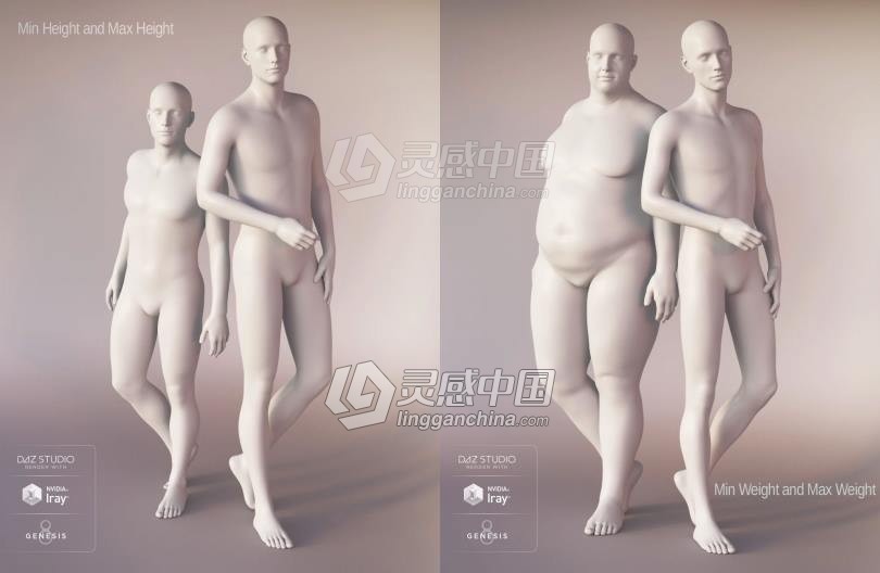 Genesis 8 Female女性男性身体头部面部等DAZ3D基础模型 Genesis 8 Female Morphs  灵感中国网 www.lingganchina.com