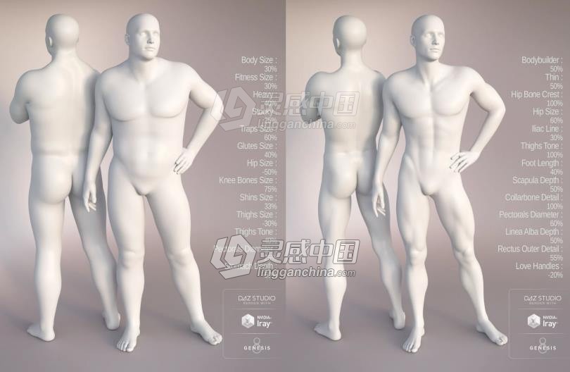 Genesis 8 Female女性男性身体头部面部等DAZ3D基础模型 Genesis 8 Female Morphs  灵感中国网 www.lingganchina.com