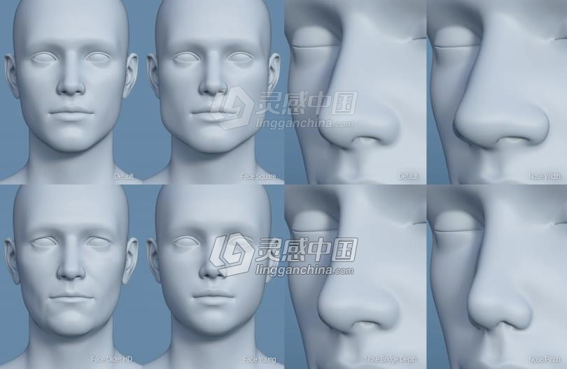 Genesis 8 Female女性男性身体头部面部等DAZ3D基础模型 Genesis 8 Female Morphs  灵感中国网 www.lingganchina.com