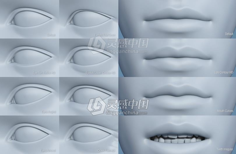 Genesis 8 Female女性男性身体头部面部等DAZ3D基础模型 Genesis 8 Female Morphs  灵感中国网 www.lingganchina.com