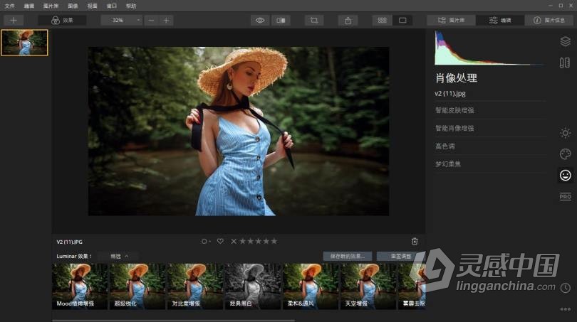 AI人工智能图像插件Luminar 4.3完整汉化版 Luminar 4.3.0.(7119) 支持PS2021  灵感中国网 www.lingganchina.com