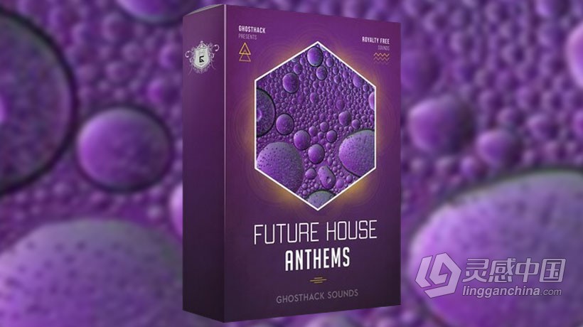 314个分层音轨声道人声乐器电子演奏伴奏Anthems配乐资源音效素材 Future House Anthems  灵感中国网 www.lingganchina.com